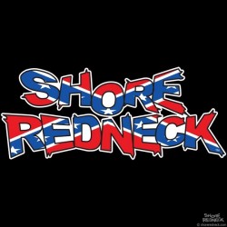 Shore Redneck Dixie Flag Decal
