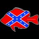 Shore Redneck Dixie Panfish Decal