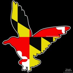 Shore Redneck MD Seagull Decal
