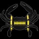 Shore Redneck  Football Black/White/Gold Crab Decal