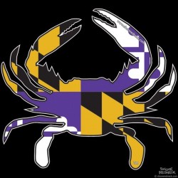 Shore Redneck Purple/Black/Gold MD Crab Decal