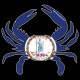 Shore Redneck Virginia Crab Decal