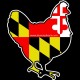 Shore Redneck Maryland Flag Chicken Decal