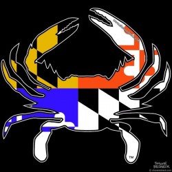 Shore Redneck Orange/Black/Purple/Gold Combo MD Flag Crab Decal