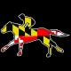 Shore Redneck MD Racing Horse Decal