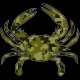 Shore Redneck Green Digital Camo Crab Decal