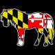 Shore Redneck Maryland Flag Pony Decal