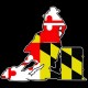 Shore Redneck Maryland Flag Barrel Racer Decal