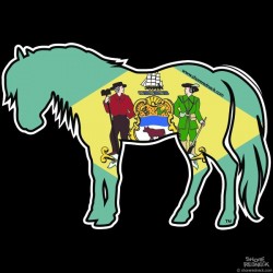 Shore Redneck Delaware Flag Pony Decal