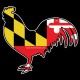 Shore Redneck Maryland Flag Rooster