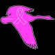 Shore Redneck Breast Cancer Awareness Goose Decal