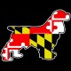 Shore Redneck Maryland Cocker Spaniel Decal