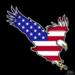 Shore Redneck USA Eagle Decal