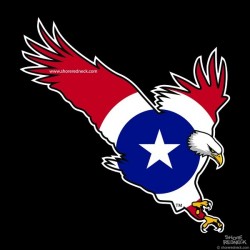Shore Redneck Texas Eagle Decal
