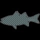 Shore Redneck Diamond Plate Rockfish Striper  Decal