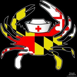 Shore Redneck MD Nurse Crab Decal