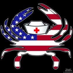 Shore Redneck USA Nurse Crab Decal