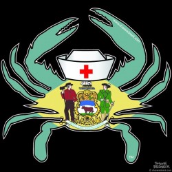 Shore Redneck DE Nurse Crab Decal