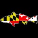 Shore Redneck MD Redfish  Decal