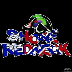 Shore Redneck Wood Duck on Top Old Georgia Decal