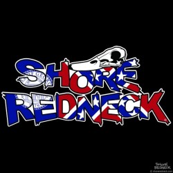 Shore Redneck Duck Skull on Top Old Georgia Decal