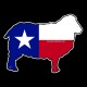 Shore Redneck Texas Sheep Decal