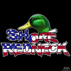 Shore Redneck Mallard on Top USA Decal