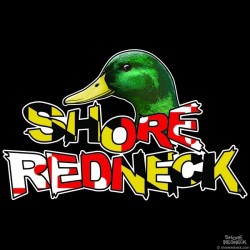 Shore Redneck Mallard on Top MD Decal