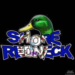 Shore Redneck Mallard on Top VA Decal