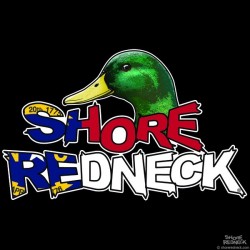 Shore Redneck Mallard on Top NC Decal