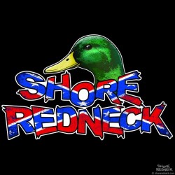Shore Redneck Mallard on Top Worn Dixie Decal