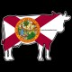 Shore Redneck Florida Cow Decal