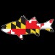 Shore Redneck Maryland Rockfish Striper  Decal