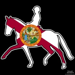 Shore Redneck USA Dressage Horse 2 Decal