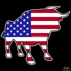 Shore Redneck USA Rodeo Bull Decal
