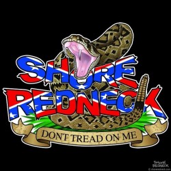 Shore Redneck Don't Tread on Me Dixie Decal