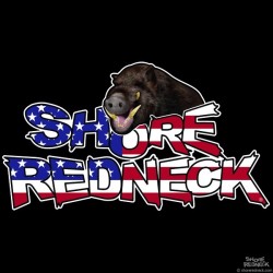 Shore Redneck Boar Hog on Top USA Decal
