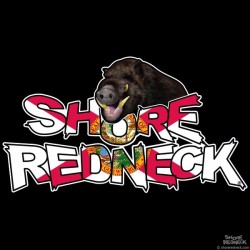 Shore Redneck Boar Hog on Top Florida Decal