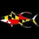 Shore Redneck Maryland Flag Yellowfin Decal