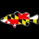Shore Redneck Maryland Bass Decal
