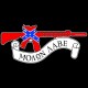 Shore Redneck AR-15 Dixie Molon Labe Decal