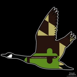 Shore Redneck MD Green n Tan Flyaway Goose Decal