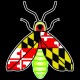 Shore Redneck MD Firefly Decal