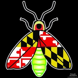 Shore Redneck MD Firefly Decal