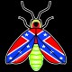 Shore Redneck Dixie Firefly Decal