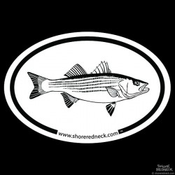 Shore Redneck Striped Bass Sketch Oval