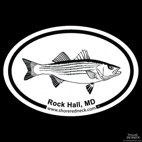 Shore Redneck Striped Bass Sketch Rock Hall Oval