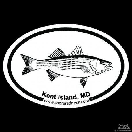 Shore Redneck Striped Bass Sketch Kent Island MD Oval
