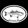 Shore Redneck Striped Bass Sketch Kent Island MD Oval