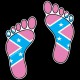 Shore Redneck Pink Dixie Footprints Decal